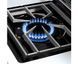 Газовий гриль Broil King Imperial S 690 997883 фото 6